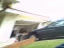 Random Video