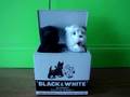Black & White Blended Scotch Whisky Advertising Box
