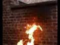 brice te le bbq
