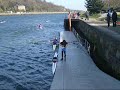 Versadock Shandon Rowing 1 Versadock Shandon Rowing 1