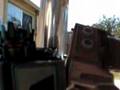 videos de fall octimas