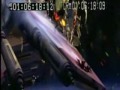 Star war - The Third Gathers - Backstroke Of The West (1)