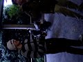 LA CURIERA LA CURIERA