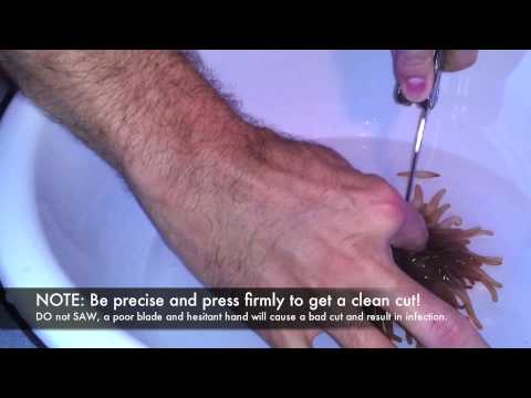how to care for rbta