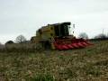 videos de moisson 2008 de mais