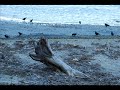 Zbigniew Preisner - Dekalog IV Part 2