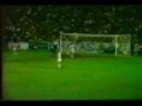 Gol Flavio(Paraense 93)