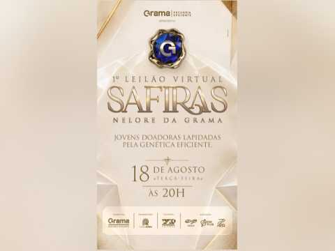 1° Leilão Safiras Nelore da Grama