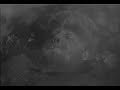 The WolfMan The WolfMan
