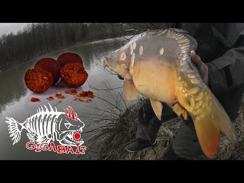 видео ловля сазана ранней весной видео ловля сазана ранней весной
