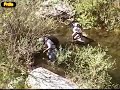 Faia da Água Alta- Bemposta / Mogadouro Faia da Água Alta- Bemposta / Mogadouro