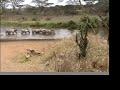 A Day Trip into the Serengeti