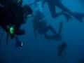 Safety stop with Batfish