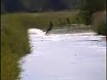 Surfen auf Norddeutsch