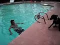 dog jumping over dudes head