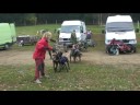 Hornik 08 1 den t�m