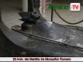 Cripta de Monseñor Oscar Arnulfo Romero Cripta de Monseñor Oscar Arnulfo Romero