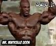 Mr. Venticello - Seconda Parte