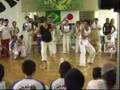 Ver Video