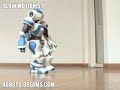 NAO Humanoid Robot Walking