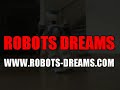 NAO Humanoid Robot Walking