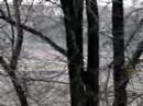 f2007 15 gennaio 2007 secondo video