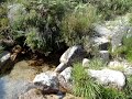Gerês Rural VII