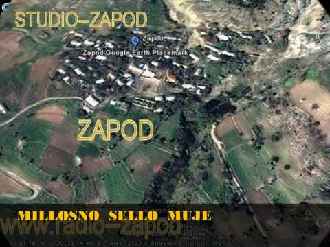 zapods