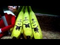 Minion Banana Drawing Elf On The Shelf