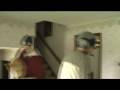 Funny Cat Fighter Jets