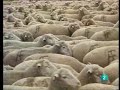 El Valle de Alcudia Ciudad Real España