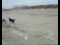 海の男?.mp4