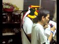 world a music(ini kamoze cover) - kutisbuwaya
