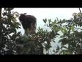 Denver Zoo's