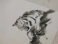 Sumi-e Drawing Video Tiger 2