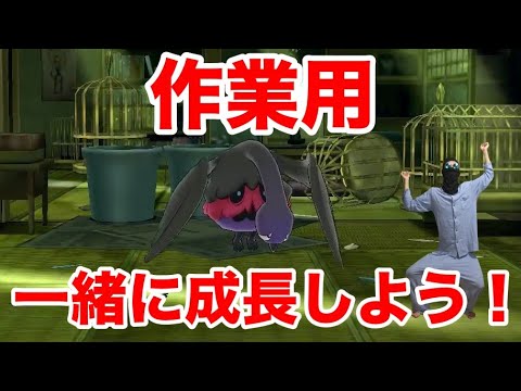 動画