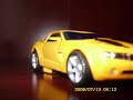 Bumblebee\
