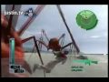 Afraid-of-the-water-