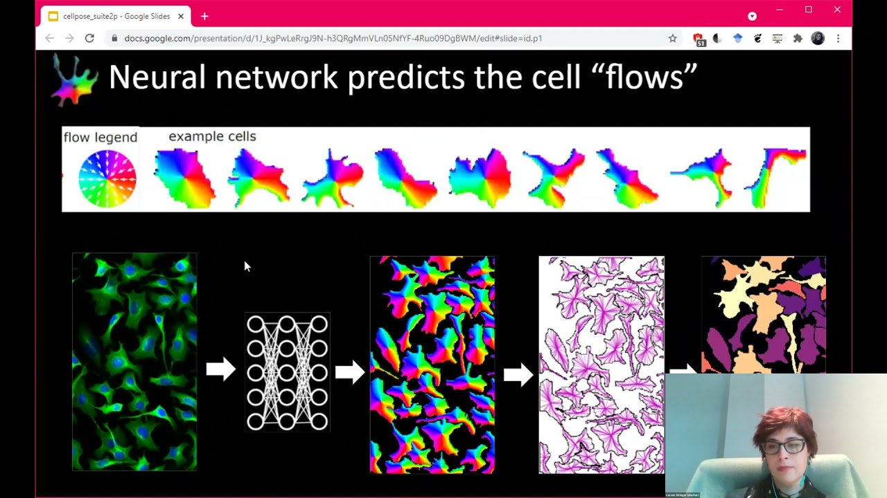 Carsen Stringer "Cellpose & Suite2p: anatomical and functional algorithms for cellular segmentation"