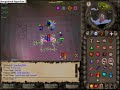 Yvind skaar at pest control