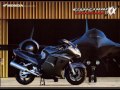 Foro Blackbird Owners