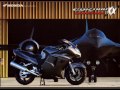 Foro Blackbird Owners