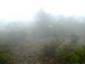 Mist and Wind on The Appalachian Trail