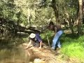 gold-prospecting-prospector-finds-nugget.html