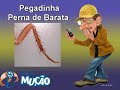 Mucao.com.br - Pegadinha - Perna de Barata
