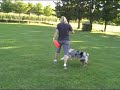 Compilation - Fluhu.de Compilation - Fluhu.de