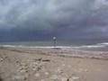 videos de lion-sur-mer2