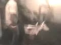MUERTE EN EL RUEDO