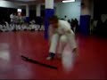 B. Heidemann Taekwondo STF