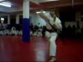 B. Heidemann Taekwondo STF